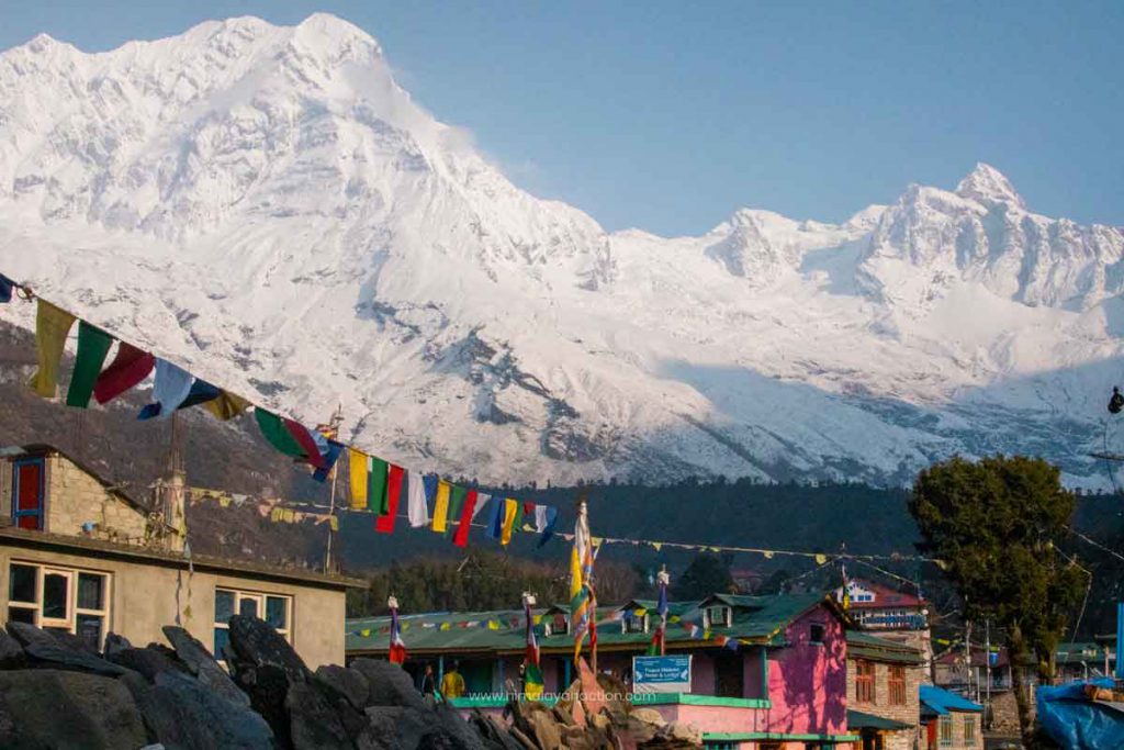 Manaslu Circuit Himalayan Trek, Himalayan Action