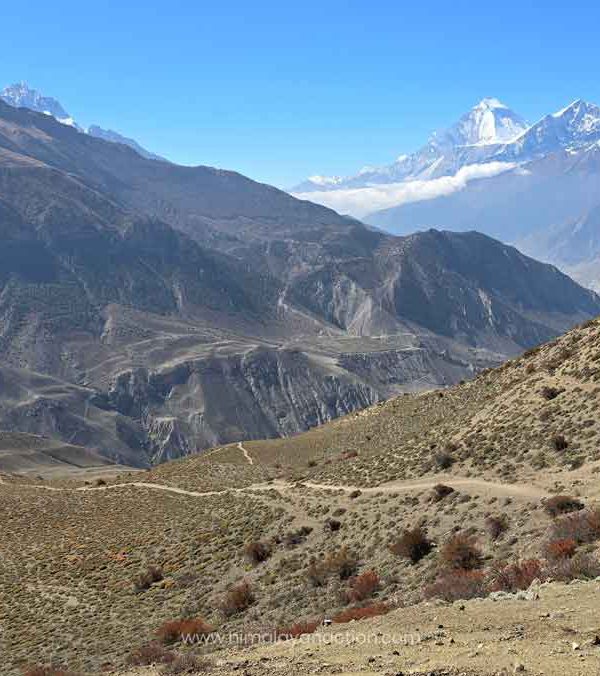 Nar Phu Valley Trek Landscape, Himalayan Action