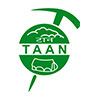 TAAN Logo