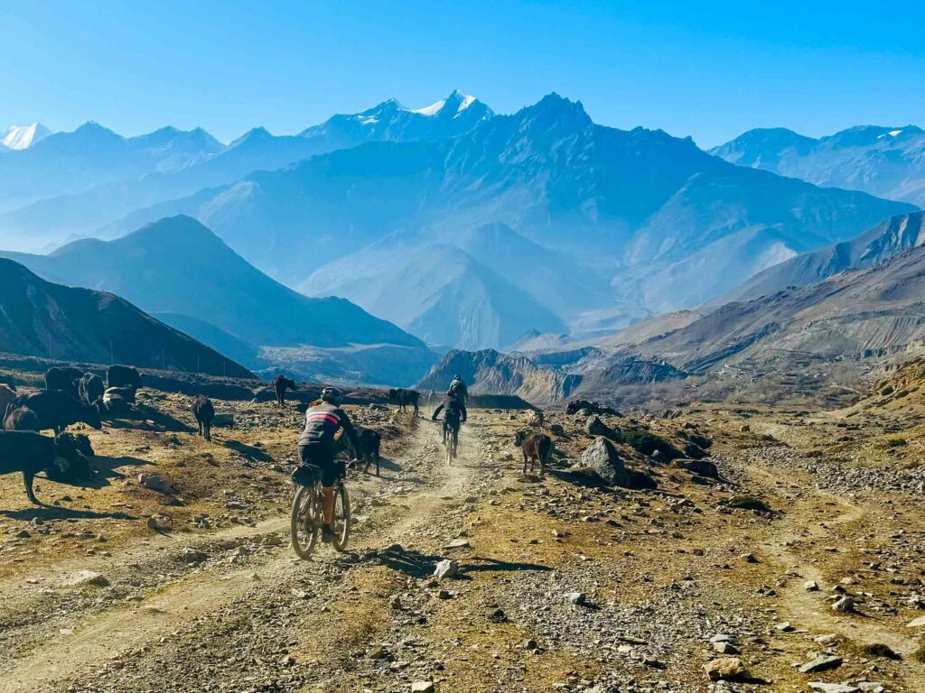Thorong Base Camp - Annapurna Circuit Mounatain Biking Tour - Himalayan Action