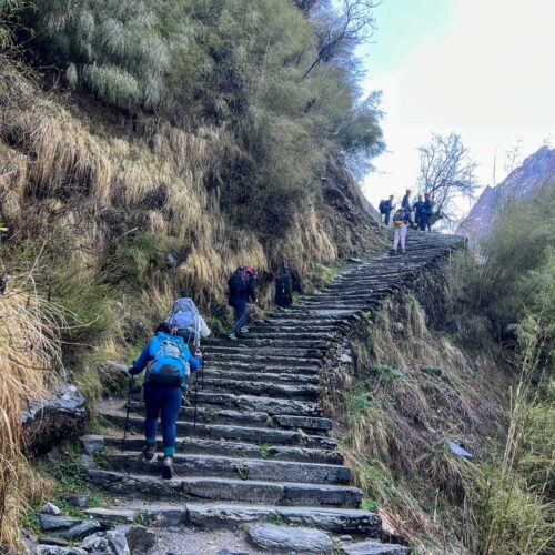 Bamboo, Annapurna Base camp Trekking Trail